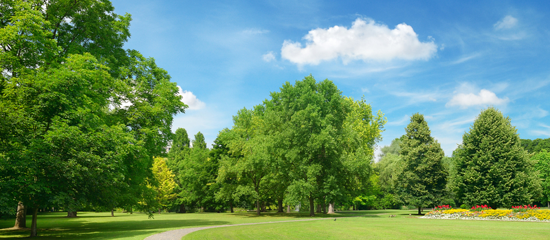 夏のロケーションフォトウェディングは暑さ・日焼け対策を