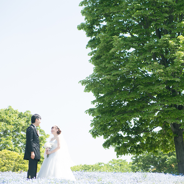 景色を活かした引きの構図