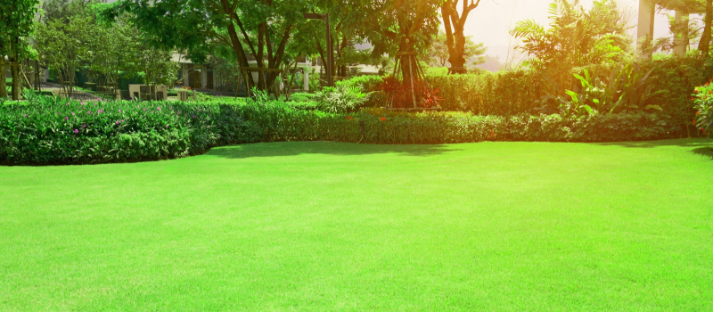 屋外撮影や出張撮影ができるか？