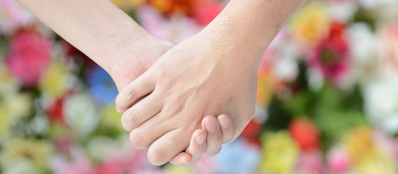 バウリニューアルの魅力