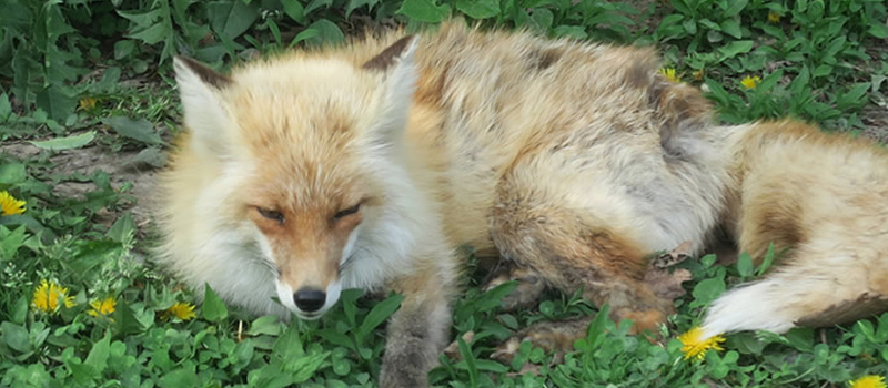 雄大な自然に癒される