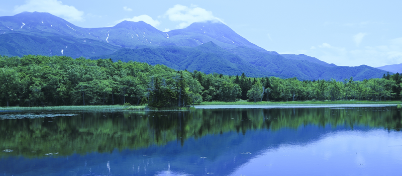 札幌フォトウェディングでおすすめフォトスポット