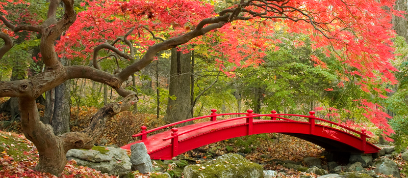 好きな季節が選べる