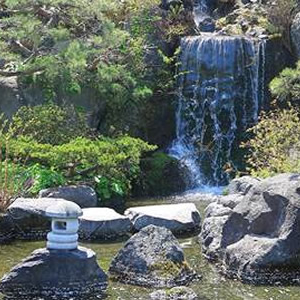 札幌でフォトウェディングにおすすめのロケーション天神山緑地