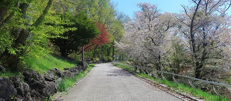 札幌の街を一望するロケーション