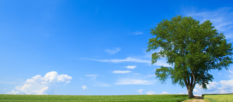 便利な都心部から少し移動すれば大自然