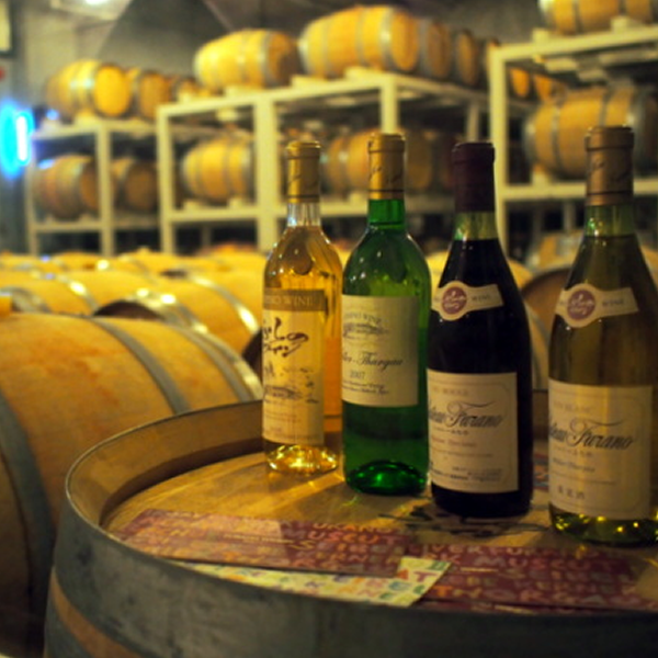 ふらのワイン工場を観光